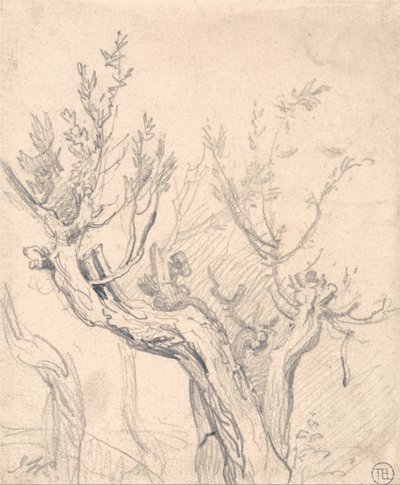 Ein knorriger Baum von James Ward